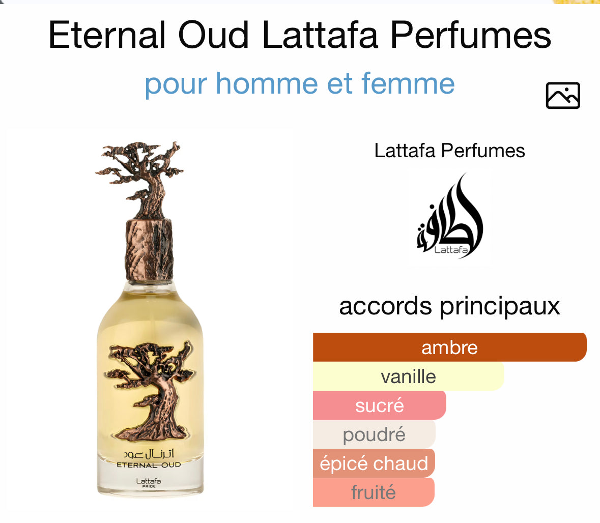 Eternal Oud - Lattafa
