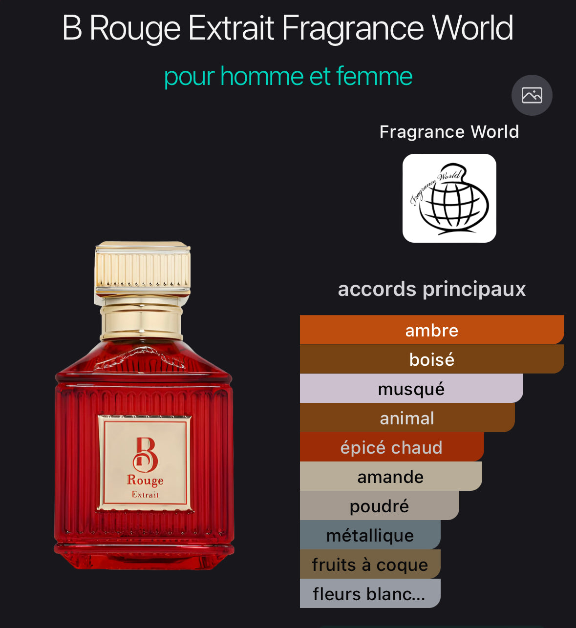 B Rouge Extrait - Fragrance World