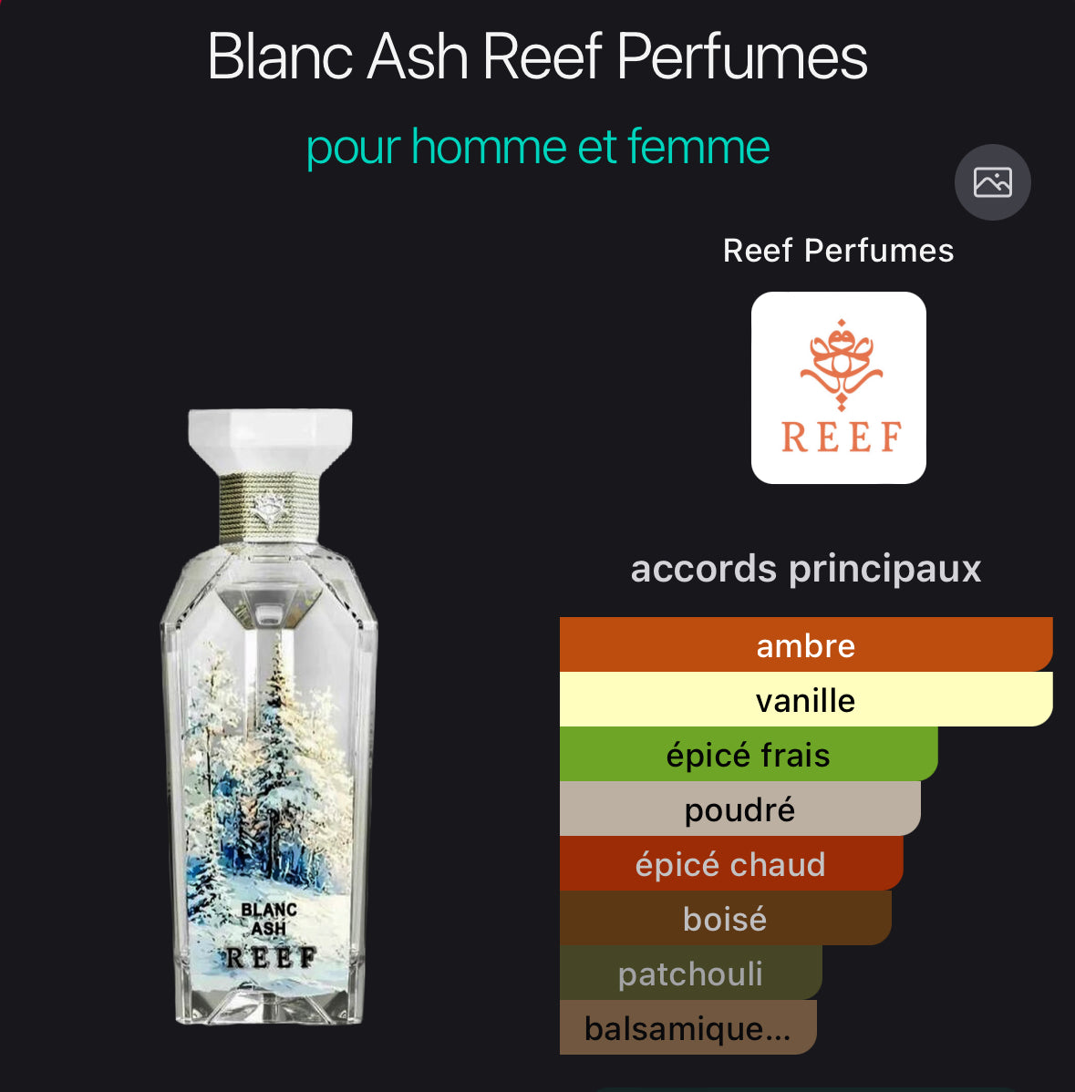 Blanc ash - Reef perfumes 150ml