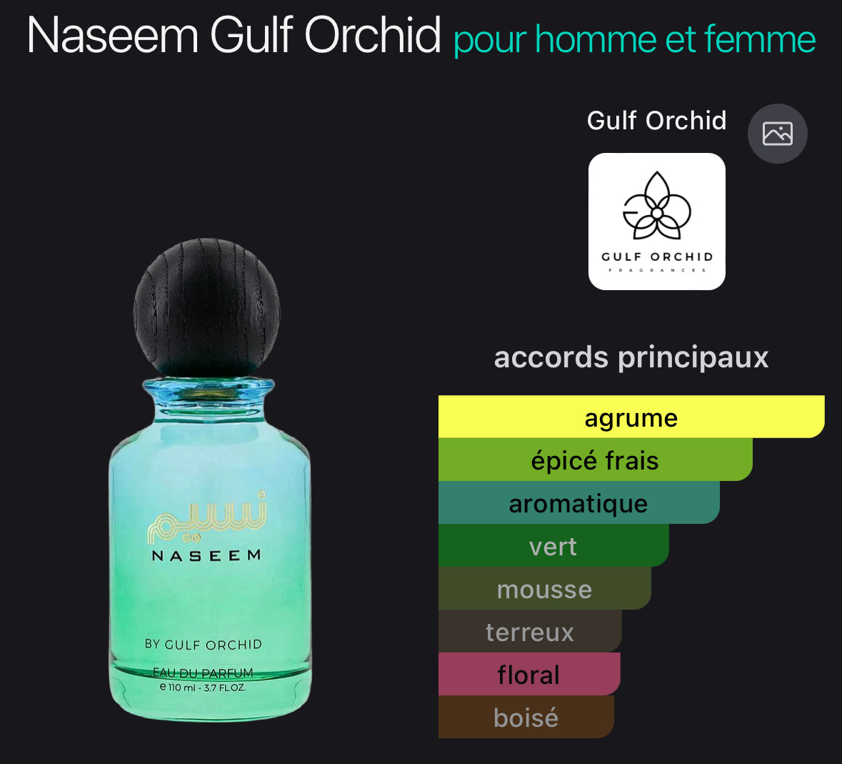 Naseem - Gulf orchid